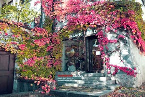 廣西區(qū)內(nèi)紅色旅游景點(廣西紅色景點介紹)