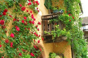 上思八角寨風(fēng)景區(qū)介紹？