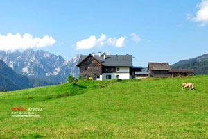 長春附近3月旅游景點(長春周邊游景點)